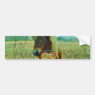 Mini Brown Pferd Autoaufkleber