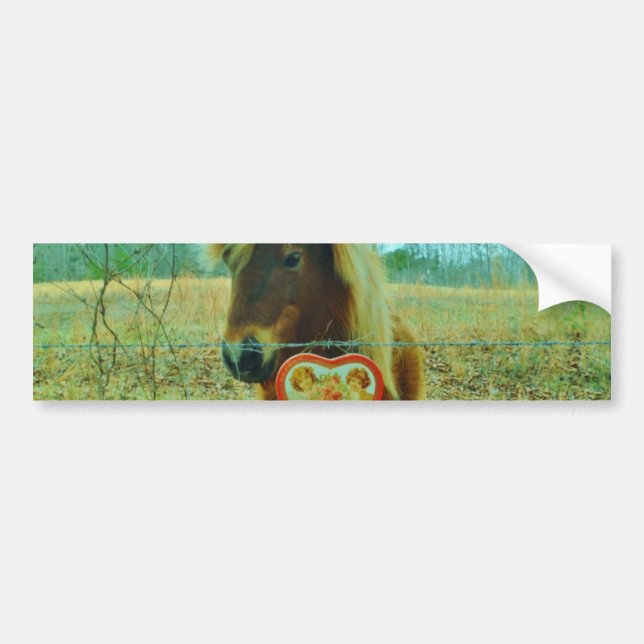Mini Brown Pferd Autoaufkleber (Vorne)