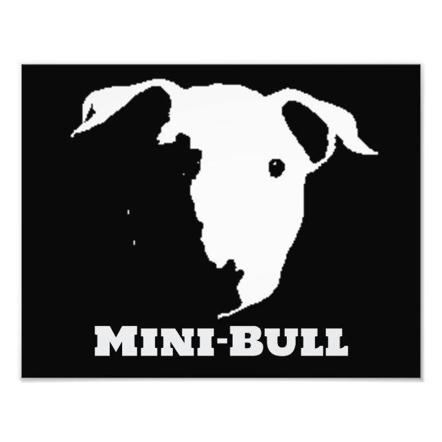 MINI BULL FOTODRUCK (Vorne)