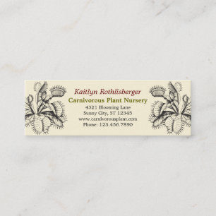 Mini Carte de visite de plantes carnivores