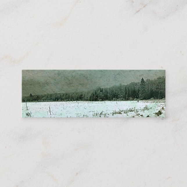 Mini Carte de visite - Paysage hivernal - (Devant)