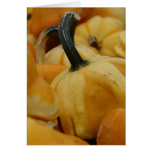 Mini Citrouilles