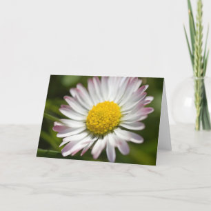 Mini Daisy Greetings Karte