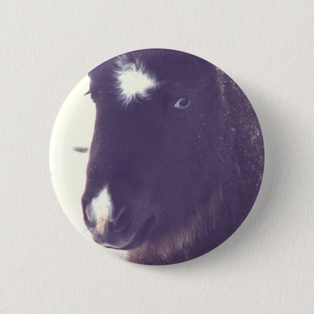 Mini Filly Grunge Button (Vorderseite)