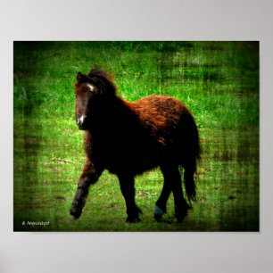 Mini Filly Poster