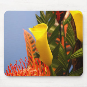 Mini-Gelblilie Mousepad