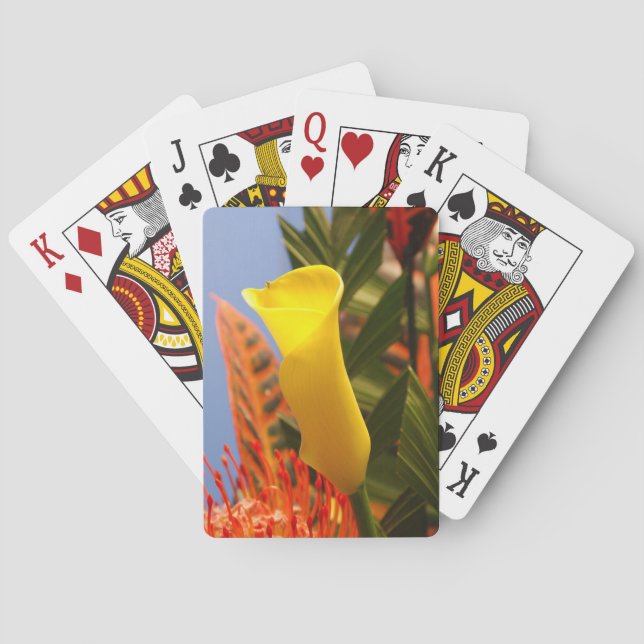 Mini-Gelblilie Spielkarten (Rückseite)