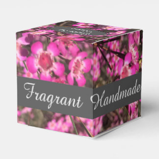 Mini Geraldton Wax Geschenkschachtel