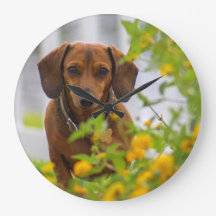 Mini horloge rouge Dachshund