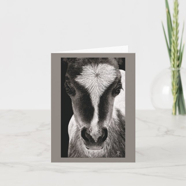 Mini Horse Colt - "Baby Face" Karte (Vorderseite)