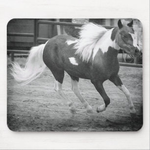 Mini Horse Gallops Mousepad
