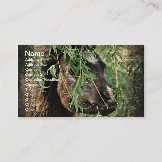 Mini ist Onery Visitenkarte (Vorderseite)