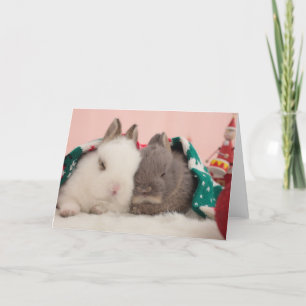 Mini-Kaninchen Feiertagskarte