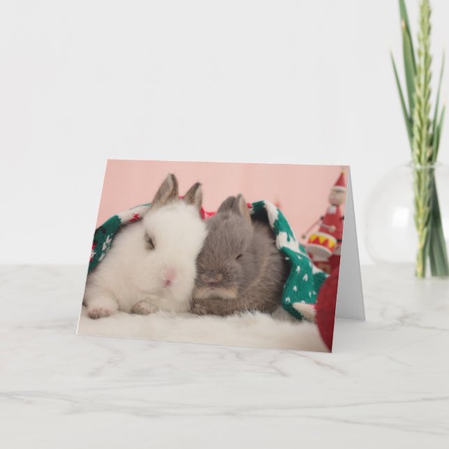 Mini-Kaninchen Feiertagskarte (Vorderseite)