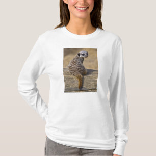 Mini Kat T-Shirt