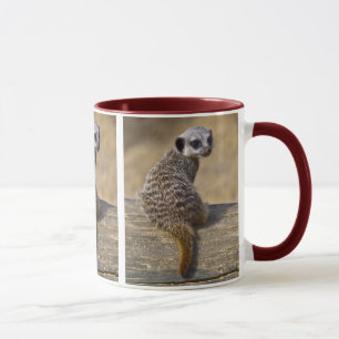 Mini Kat Tasse
