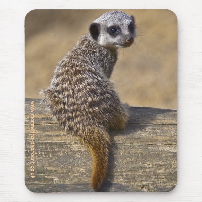 Mini-Katze-Mauspad Mousepad (Vorne)