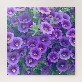 Mini Lila Petunias herausfordern