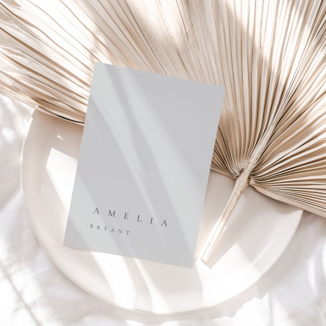 Mini lumière Ardoise Bleu Nom d'hôte Carte de plac (Light Slate Blue Flat Blank Table Guest Place Card)