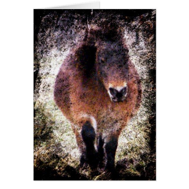 Mini Mare Grunge (Vorne)