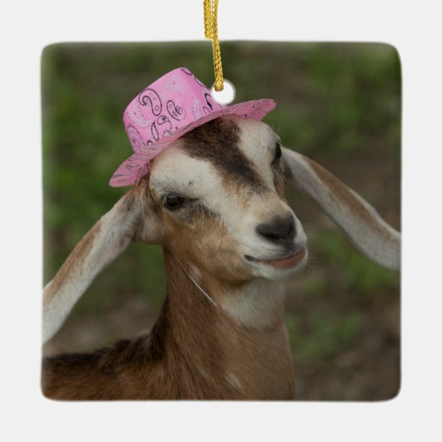 Mini Nubian Dairy Ziege in einem rosa Cowgirl Hut Keramikornament (Vorderseite)