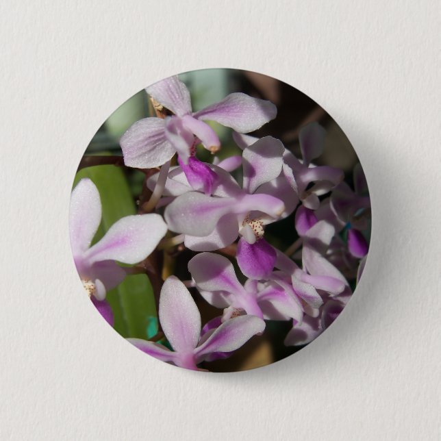 Mini-Orchideen Button (Vorderseite)