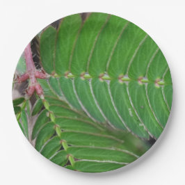 Mini-Papierplatte Pappteller