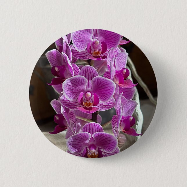 Mini Phalaenopsis Sogo Vivien Lila Orchid Blume Button (Vorderseite)