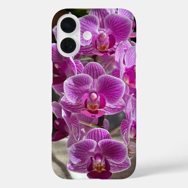 Mini Phalaenopsis Sogo Vivien Lila Orchid Blume iPhone 16 Hülle (Rückseite)