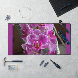 Mini Phalaenopsis Sogo Vivien Lila Orchid Blume Schreibtischunterlage