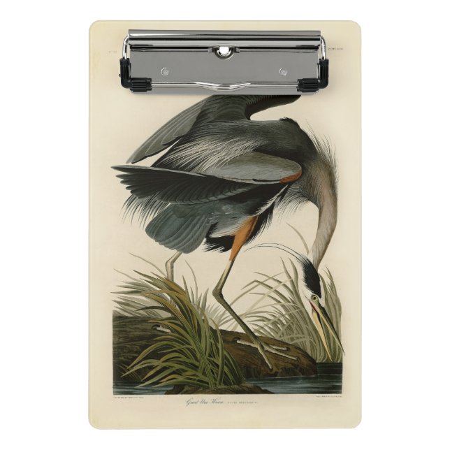 Mini Porte-bloc Audubon Great Blue Heron Marsh Bird (Devant)