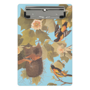 Mini Porte-bloc Baltimore Oriole Audubon Bird Family avec nid