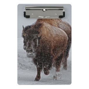 Mini Porte-bloc Bison de Yellowstone