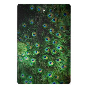 Mini Porte-bloc carnet de paon