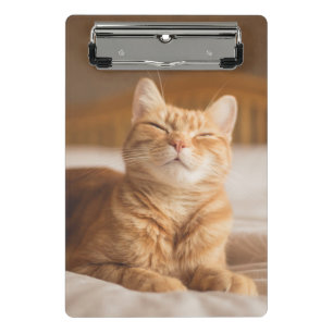 Mini Porte-bloc Chat somnolent des images   de Getty