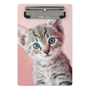 Mini Porte-bloc Chaton mignon avec les yeux bleus