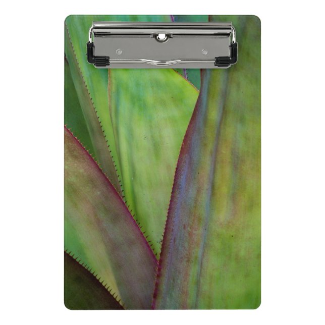 Mini Porte-bloc Détail du Plante Agave (Devant)