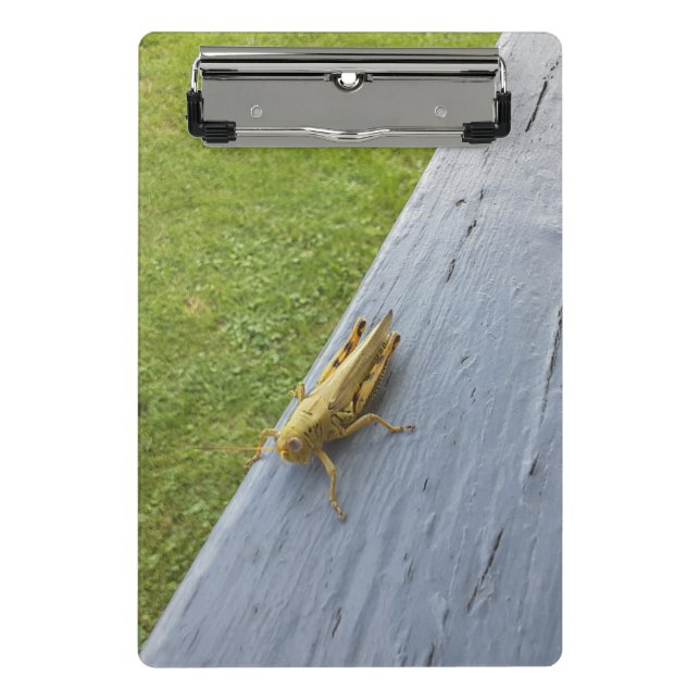 Mini Porte-bloc Grasshopper (Devant)