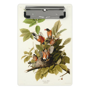 Mini Porte-bloc Illustration Audubon American Robin Wildlife Bird