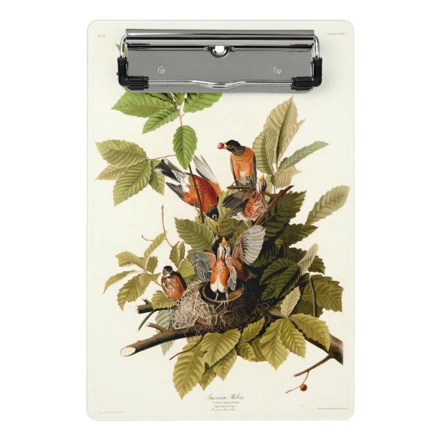 Mini Porte-bloc Illustration Audubon American Robin Wildlife Bird (Devant)