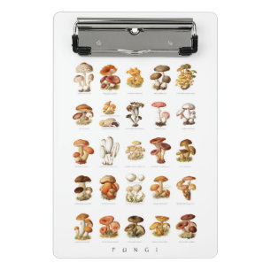 Mini Porte-bloc Illustration Vintage champignons comestibles non c
