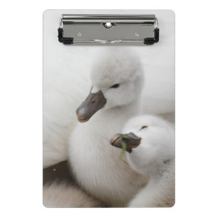 Mini Porte-bloc Jeunes cygnes de cygne muet