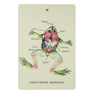Mini Porte-bloc L'anatomie de la grenouille personnalisée