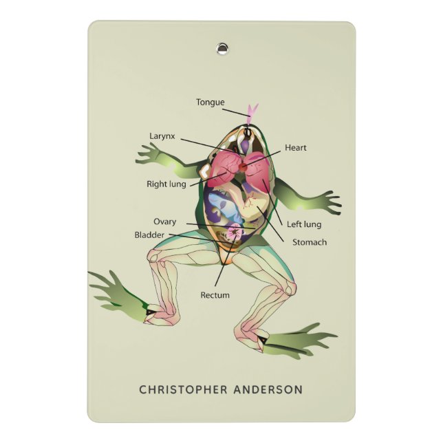 Mini Porte-bloc L'anatomie de la grenouille personnalisée (Dos)