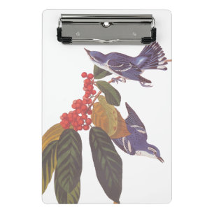 Mini Porte-bloc Oiseaux de Paruline Céruleenne d'Audubon avec baie
