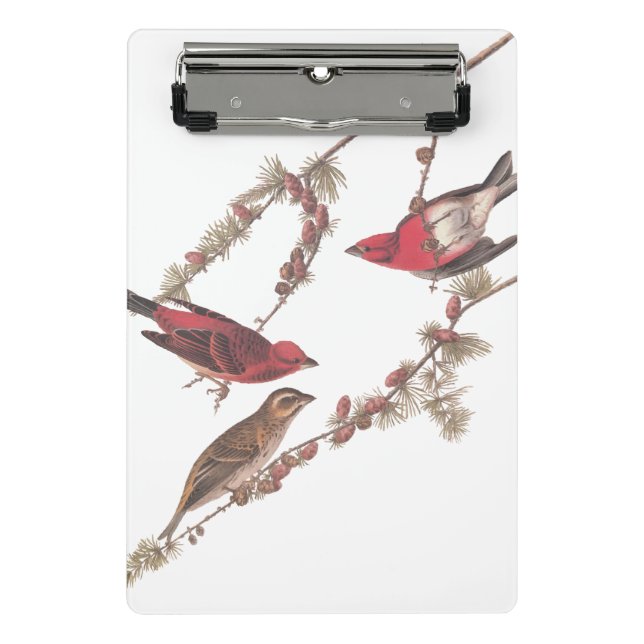 Mini Porte-bloc Oiseaux rouges pourpres d'Audubon sur l'arbre à co (Devant)