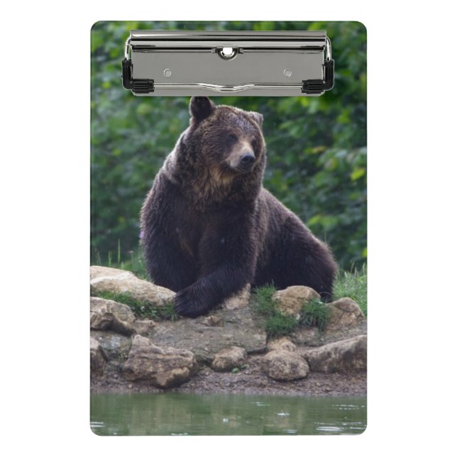 Mini Porte-bloc Ours Brown (Devant)