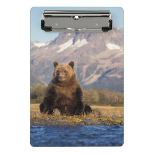 Mini Porte-bloc ours brun, Ursus arctos, grizzly, Ursus