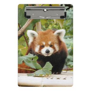 Mini Porte-bloc Panda rouge