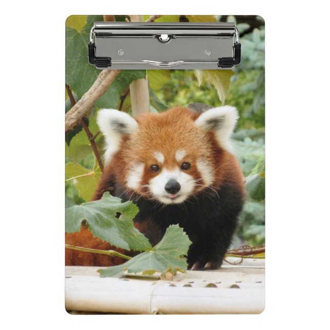 Mini Porte-bloc Panda rouge (Devant)